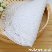 MsFeng Reusable FDA Approved BPA Free Silicone Non-Stick Liner/Mat/Mesh  4 Pcs  Round (9.5 inch/24 cm)  Silicone Dumplings Pad Steamed Buns Baking Pastry Dim Sum Mesh - B075H9BNPY